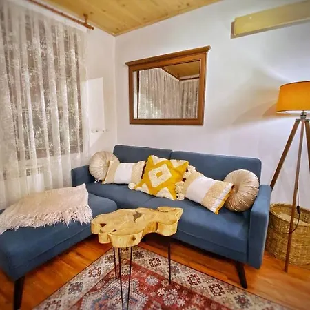 The Secret Lodge- New With Private Garage, Entire House Апартаменты Велико-Тырново